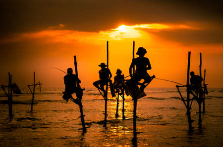 Silhouettes of the traditional fishermen at the sunset in Sri Lankaの写真素材