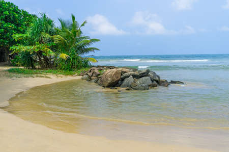 Sri Lanka beach. Bentota.の写真素材