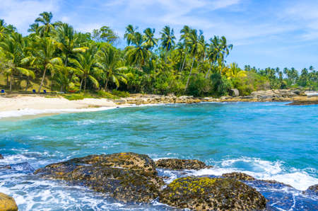 Tropical beach in Sri Lankaの写真素材