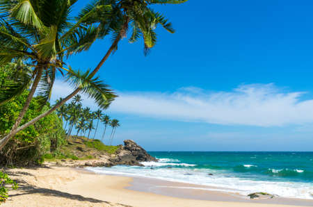 Tropical beach in Sri Lankaの写真素材