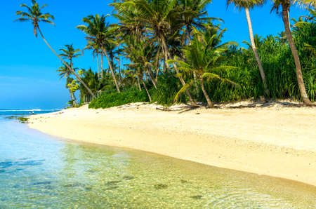 Tropical beach in Sri Lankaの写真素材