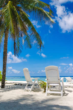 Two beach chairs on perfect tropical white sand beach in Maldivesの写真素材