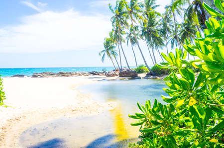 Beautiful landscape of the coast of Varkala. Kerala, India.の写真素材