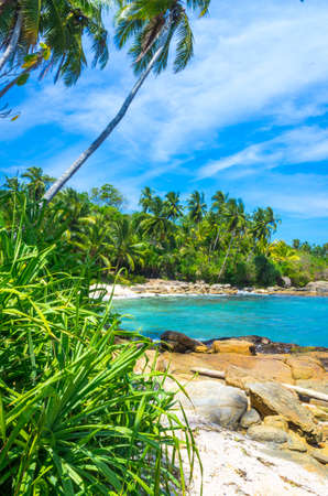 Tropical beach in Sri Lanka. Mirissa.の写真素材