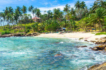 Tropical beach Mirissa in Sri Lankaの写真素材