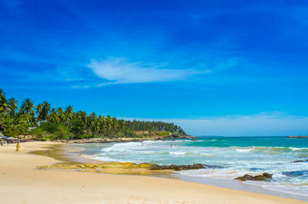 Tropical beach in Sri Lankaの写真素材