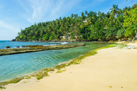 Tropical beach in Sri Lanka. Mirissa.の写真素材