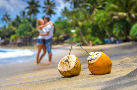 Cocunut on a tropical beach in Sri Lankaの写真素材