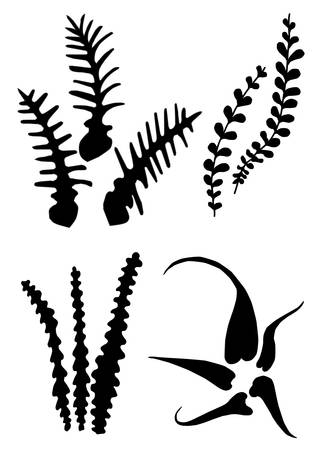 fern leaves, vector illustrationのイラスト素材