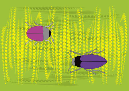 two different color bugs in wheat, vector illustrationのイラスト素材
