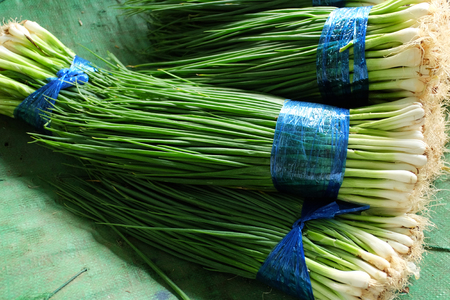 Four bundles of green spring onion with blue plastic rope in the market.の写真素材