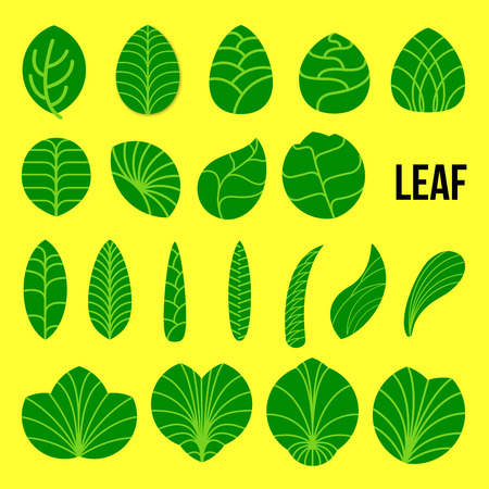 different green leaves are shaped with organic form in green colour and embroiled with vein pattern.のイラスト素材