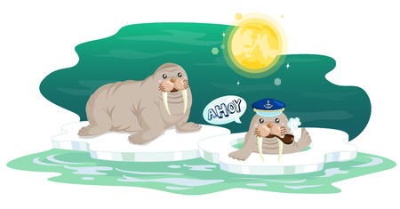 Two Cute Walrus Play on Thin Ice down the Moonlightのイラスト素材