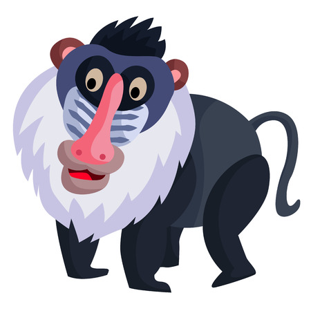Baboonのイラスト素材