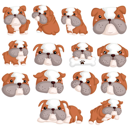 bulldog vector setのイラスト素材