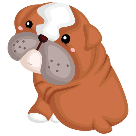 A cute dog with a pure breed of bulldogのイラスト素材