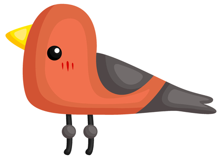 a vector of a cute and adorable birdのイラスト素材