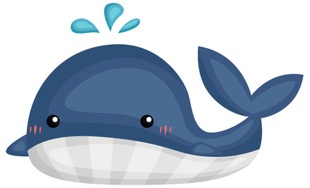 a vector of a cute and adorable whaleのイラスト素材