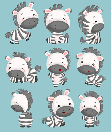 a vector of cute zebras in many posesのイラスト素材