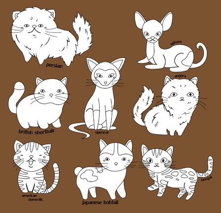 a vector of many cat breeds in black and white colorsのイラスト素材