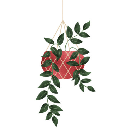 A watercolour illustration of a pot plantの写真素材