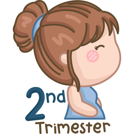 a vector of pregnant trimesterのイラスト素材