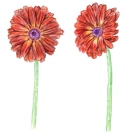 Colour pencils illustration.のイラスト素材