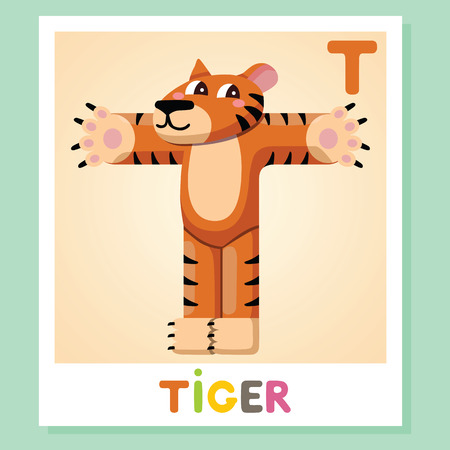 T is for Tiger flashcard in cute illustration. Letter T Animal alphabet.のイラスト素材