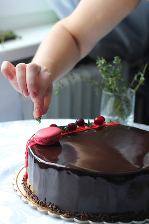 Tasty chocolate homemade cake decorated by red berries and macaronの写真素材