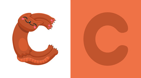 C is for Cat. Letter C. Cat, cute illustration. Animal alphabet Vector illustration.のイラスト素材