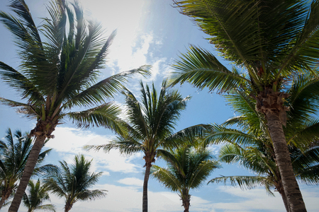 View From The Chairの写真素材
