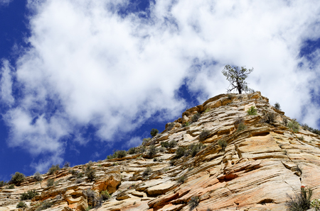 High Upon the Mountain Topの写真素材