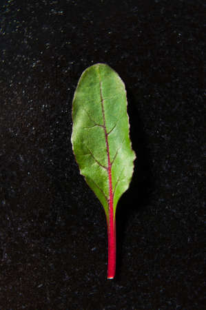 Chard on a black plate, minimalism, concept. Dark background, top view, close up