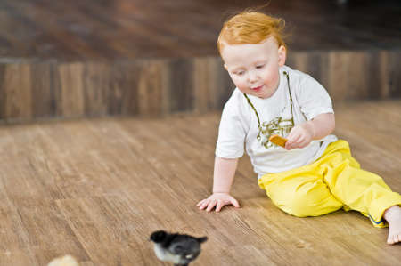 Redhead babe plays with live chickenの写真素材