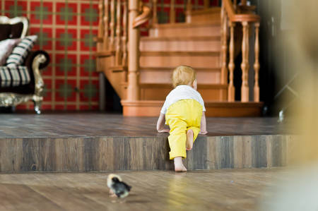 Redhead babe plays with live chickenの写真素材