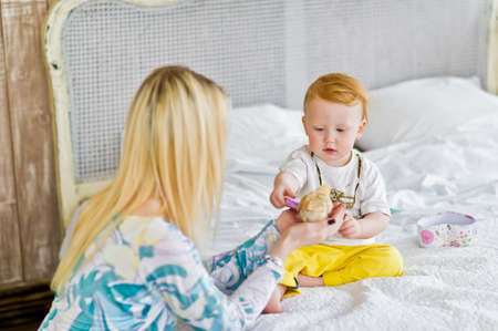 Mom holds a home chicken and shows it to the child.の写真素材