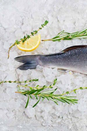 Raw sea bass on ice with rosemary, thyme and lemon. Gray background, top view