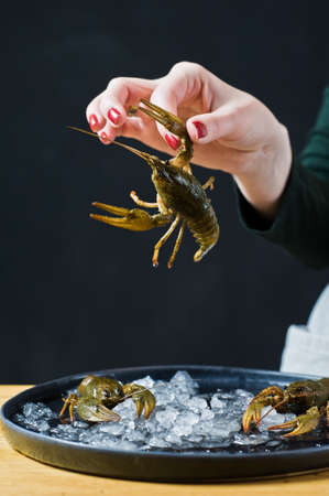 The chef holds a live crayfish. Black background, side view, space for text