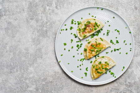 Chinese fried dumplings. Gray background, top view, space for textの写真素材