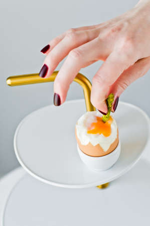 Hand chef inserts a trickle of asparagus in a boiled egg.の写真素材