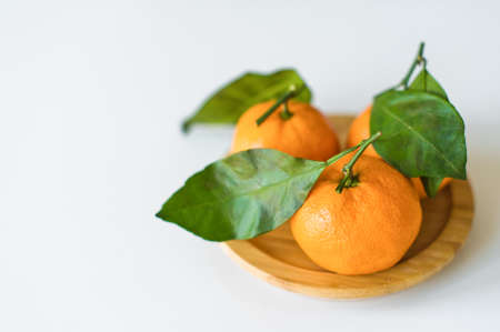 mandarine with branches on a white backgroundの写真素材