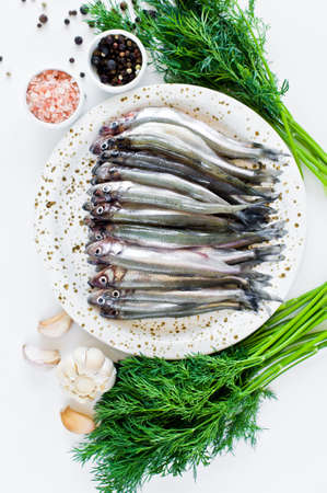 Raw smelt on a plate, dill, pink salt, pepper and garlic. White background, top view, space for textの写真素材