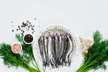 Raw smelt on a plate, dill, pink salt, pepper and garlic. White background, top view, space for textの写真素材
