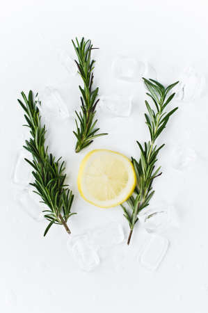 lemon and rosemary on iceの写真素材