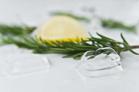 lemon and rosemary on iceの写真素材