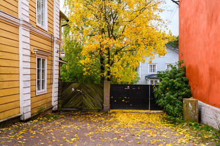 Porvoo, Finland. Yard full of yellow autumn leaves.の写真素材
