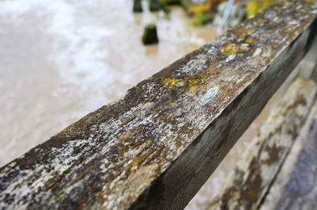 texture of rotten wood, background.の写真素材