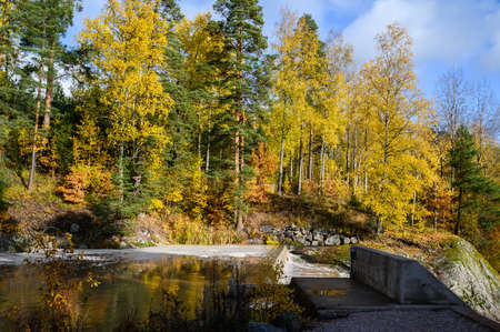 River in the forest with rapids. Autumn. Suburb Of Helsinki, Finland.の写真素材