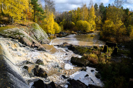 River in the forest with rapids. Autumn. Suburb Of Helsinki, Finland.の写真素材