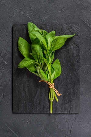 A sprig of Basil on a black background. Space for text. Seasoning for vegetablesの写真素材
